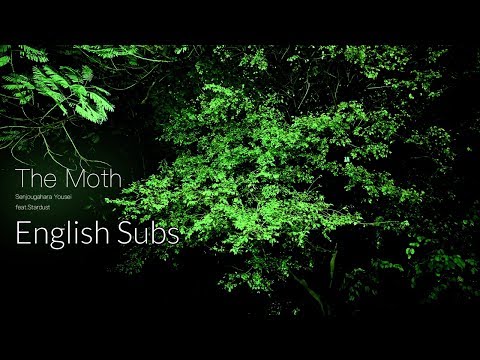 【Senjougahara Yousei ft. Stardust】The Moth【English Subs】【Djent】