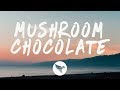 QUIN x 6LACK - Mushroom Chocolate (Lyrics)