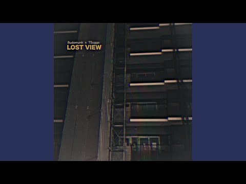 Lost View