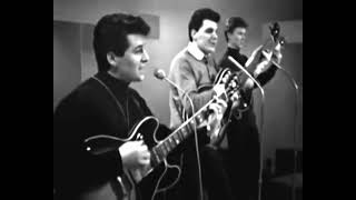 SEARCHERS NEEDLES AND PINS stereo