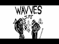 Wavves - Destroy (feat. members of Fucked Up ...