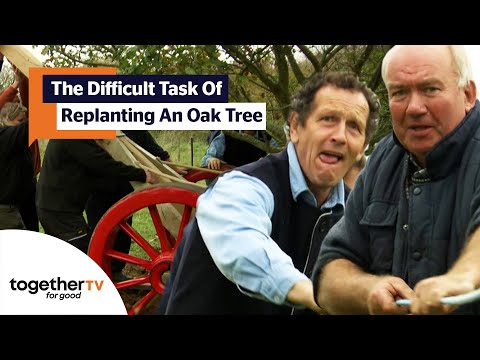 Monty Don Replants Oak Tree With Method From The 1750s |  The Secret History of The British Garden