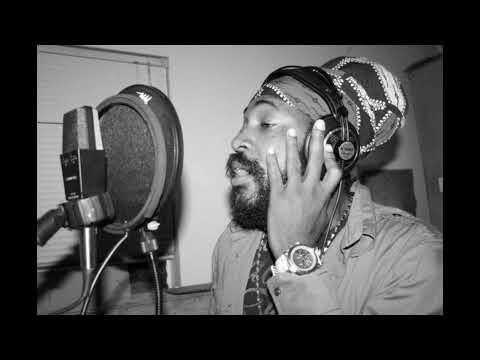 lutan fyah - 15 years to life