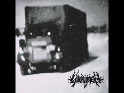 Wisphaven - Blizzzzard (Music Video) - 2020