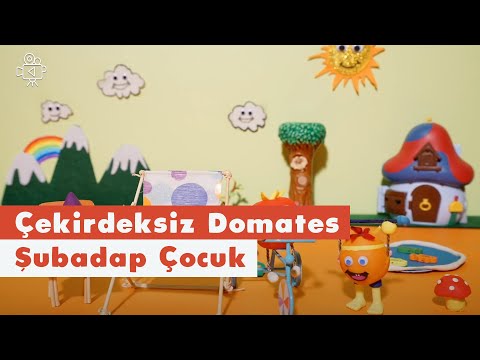 Çekirdeksiz Domates | Animasyon | Şubadap Çocuk