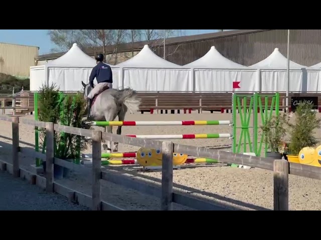 8 ANS MAGNIFIQUE 1,76M BRAVE  A L EXTREME