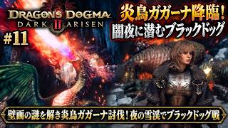 【ドラゴンズドグマ2：ダークアリズン】壁画の謎を解き炎鳥ガガーナ討伐！夜の雪渓でブラックドッグ戦 Part 11【ネタバレあり】