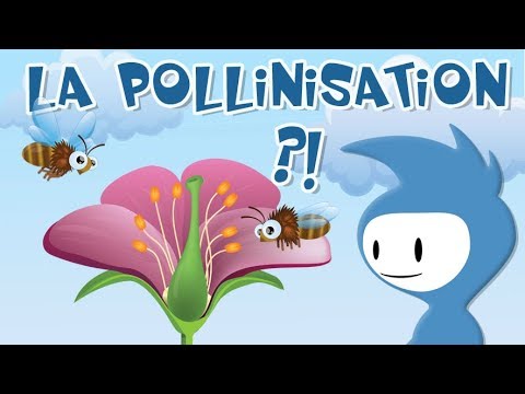 , title : 'La pollinisation: explication 1/2'