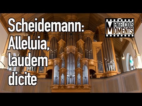 Heinrich Scheidemann: Alleluia, laudem dicite - Olga Minkina, organ