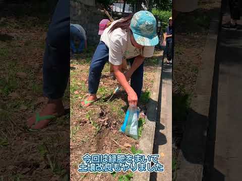 土壌を肥やす 家庭菜園にミミズを誘致する方法 肥沃度マルチング土壌化学物質 地球の利益