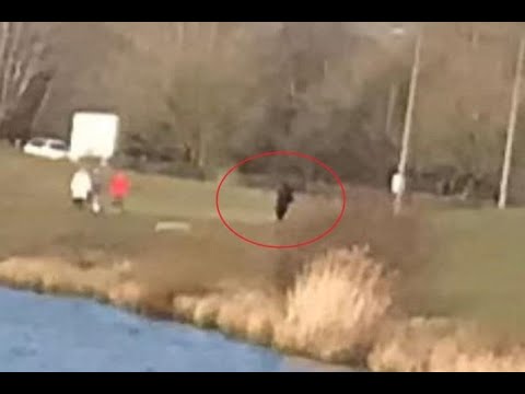 Nakon više od tri godine riješena misterija nestanka tinejdžerke