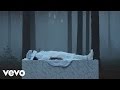 Loved Me Back To Life by Sia