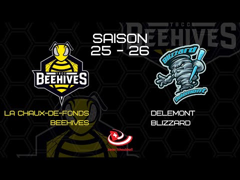 LA CHAUX-DE-FONDS BEEHIVES - DELEMONT BLIZZARD