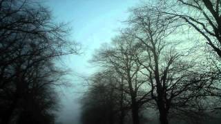 Stoa - Puisque Tout Passe