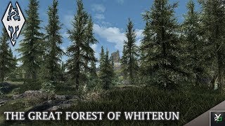 THE GREAT FOREST OF WHITERUN: Land Overhaul Mod!- Xbox Modded Skyrim Mod Showcase