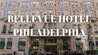 Exploring the Bellevue : A Hotel's Journey in 2026