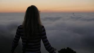 Chris Rea Love turns to lies