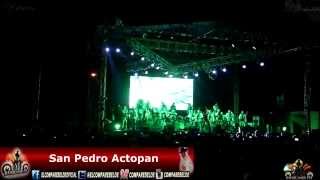 preview picture of video 'Pancho Barraza  OJALA QUE NO  ( En Vivo San Pedro Actopan 2014 )'