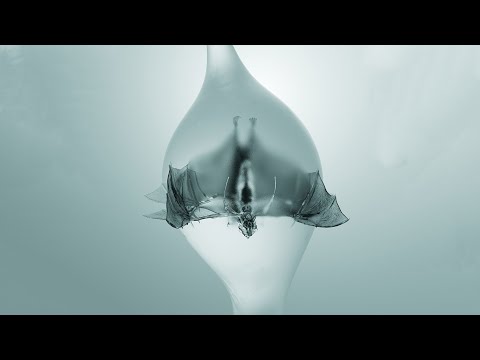 Unprocessed - 'Angel' (FULL ALBUM VISUALIZER)