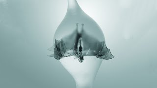 Angel by Unprocessed