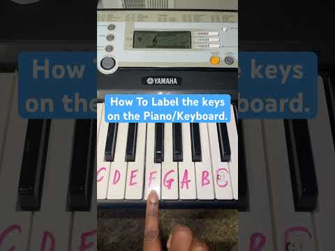How To Label the keys on a piano/keyboard. #pianotutorial #musiceducation #viral #musicteachers