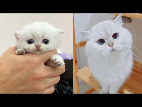 Leo, thank you for all the precious memories.