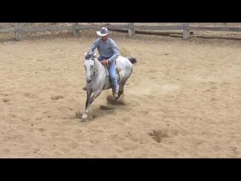 Landmark Classic Sale 2014 - Tamworth Lot 4 Serenston Park Hannah