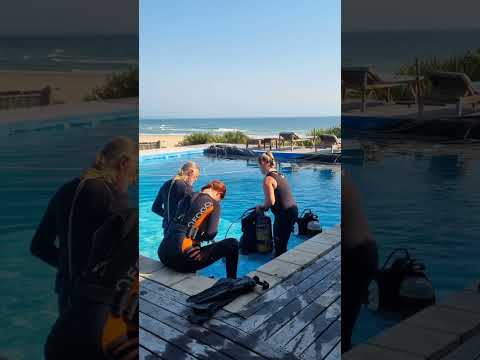 Discover Scuba Diving Paradise at Barra Reef Divers in Mozambique | SSI Certified Dive Center