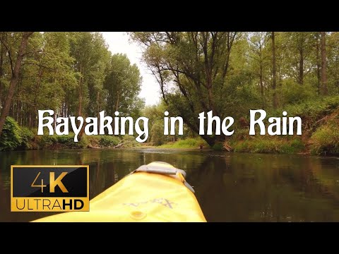 Kayaking on a rainy day in beautiful green ambient | Nature sounds