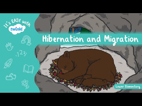 Hibernation and Migration | It&rsquo;s Easy With Twinkl | Twinkl USA