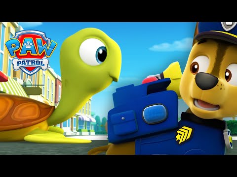 Wie überqueren die Schildkröten die Straße?! 🐢 - PAW Patrol Germany - Cartoons für Kinder