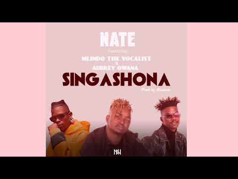 Singashona feat. Mlindo The Vocalist and Aubrey Qwana (Official Audio)
