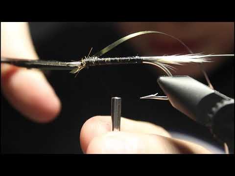 Sidotaan Puppeli Zonkker Streameri |  vesienkuningas |