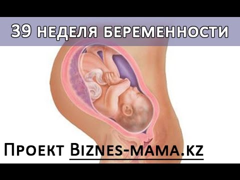 Боль позвоночнике в области поясницы Болит сильно спина что выпить