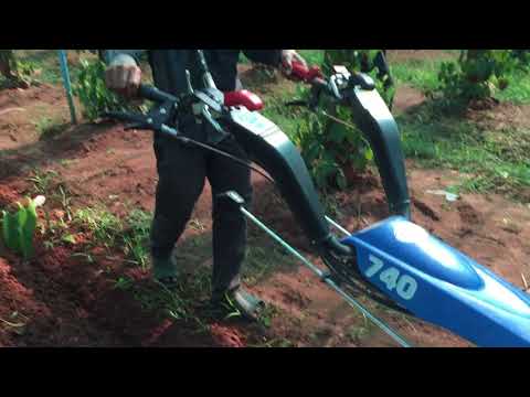 angkorgreen (ការបង្ហាញពីអត្ថប្រយោជន៍របស់ត្រាក់ទ័រ BCS740 នៅក្នុងចម្ការ)