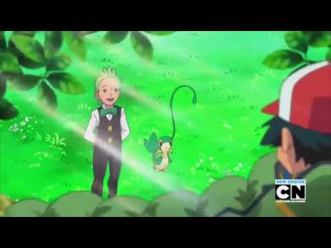 Snivy and Cilan wake Ash up !