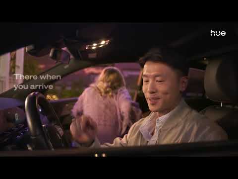 Hue Festavia Permanent lights