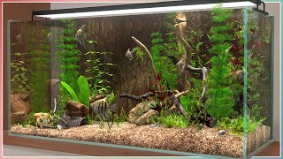 Riverbed Angelfish Tank! | Behind Glass: Aquarium Simulator | Speed Build