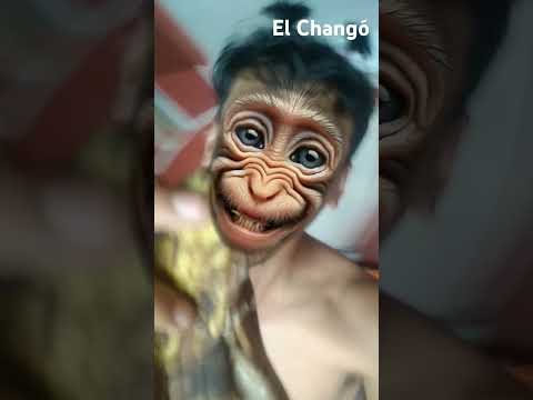 25 de septiembre de 2024