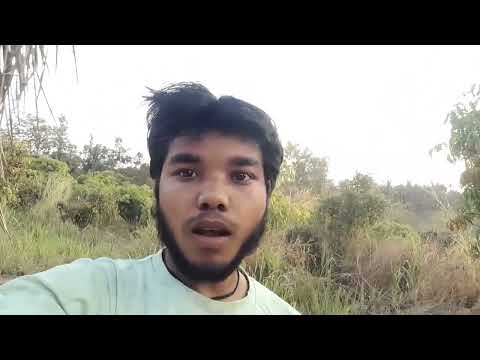 Sanjeet Kumar YouTube channel Tom German shepherd I love dogs 🐕🐕🐕💯💯💯❤️❤️