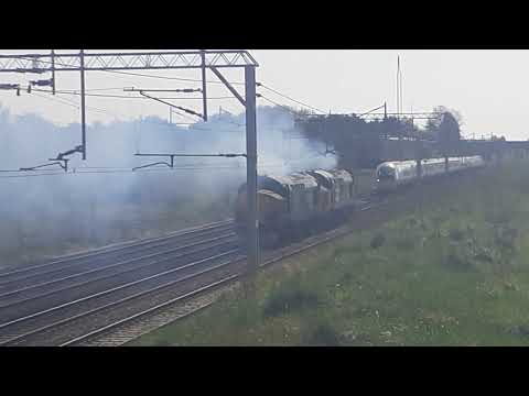 37401 + 37218 - 2 Tone + Mega Thrash And Clag