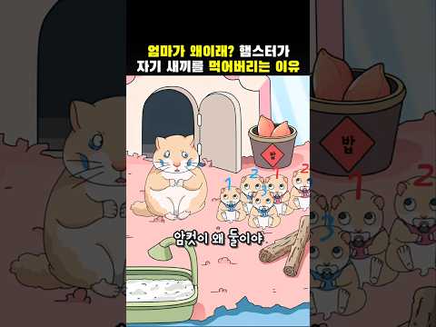 엄마가 왜이래? 햄스터가 자기 새끼를 먹어버리는 이유