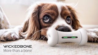 犬のおもちゃもスマートデバイスに。「WICKEDBONE」