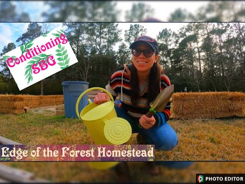 STRAW BALE GARDEN conditioning!