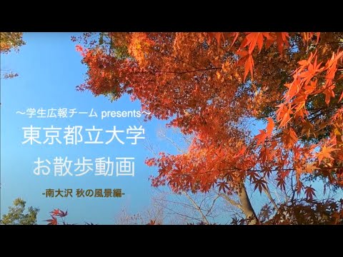 【学生広報チーム】東京都立大学 お散歩動画 －南大沢　秋の風景編－