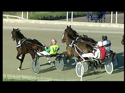 Trotto 26/01/2021 - 5ª corsa