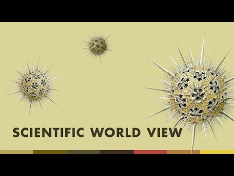 Scientific World View