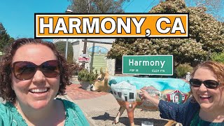 Exploring California: What to do in HARMONY, CA!