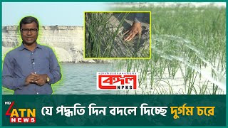 চর এলাকা: নতুন বাংলাদেশের সম্ভাবনা