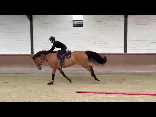 Under the saddle